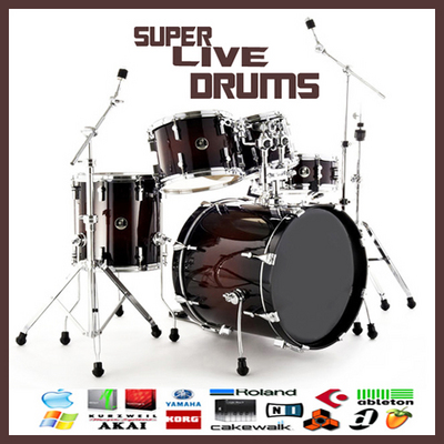 reggae drums kit